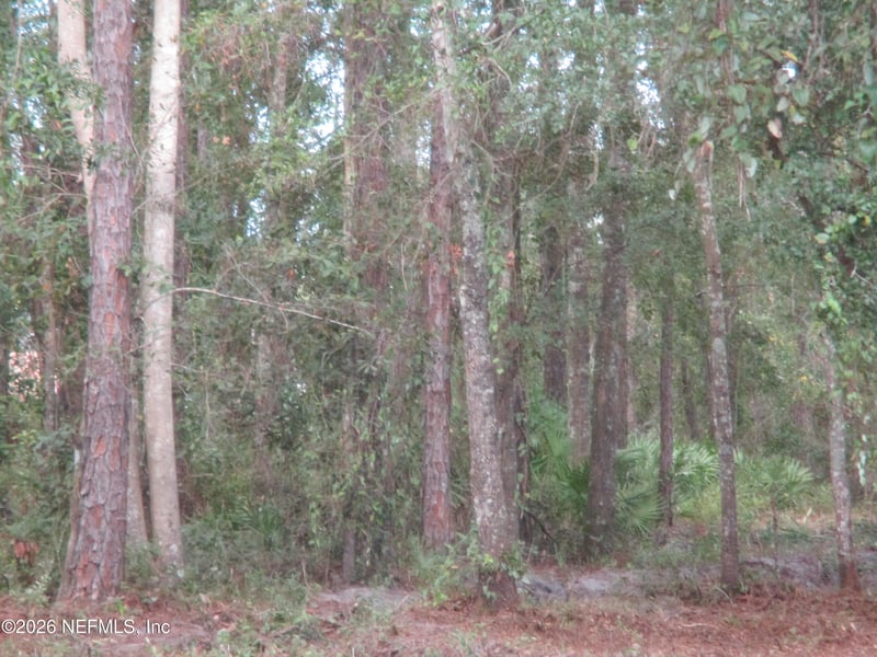 00 W County Rd 108 Rd W, Hilliard, FL 32046