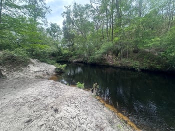 000 Black Creek Dr, Middleburg, FL 32068