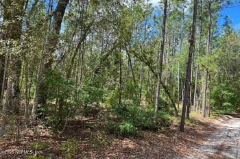 0000 Lady Bug Ln, Melrose, FL 32666