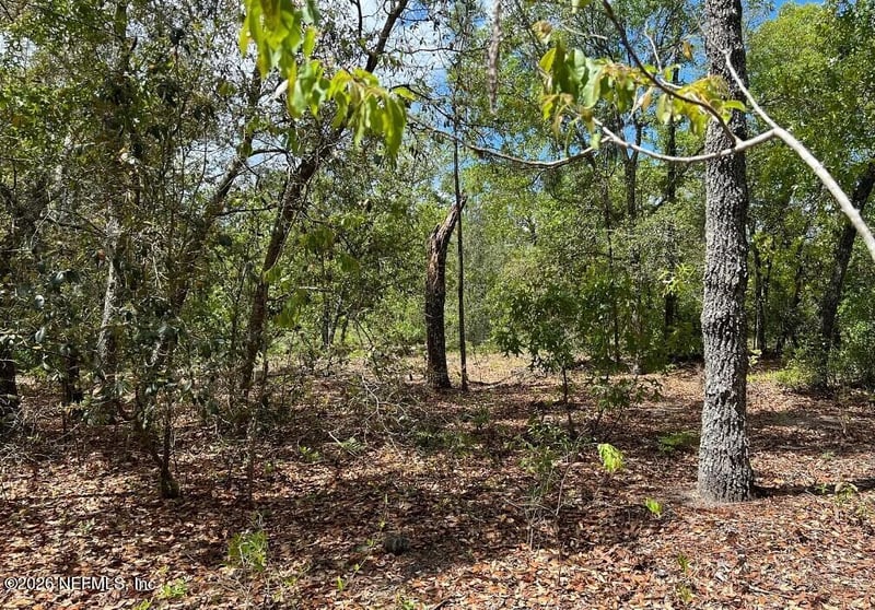 0000 Lady Bug Ln, Melrose, FL 32666