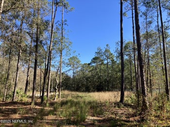 10050 Ebert Ave, Hastings, FL 32145