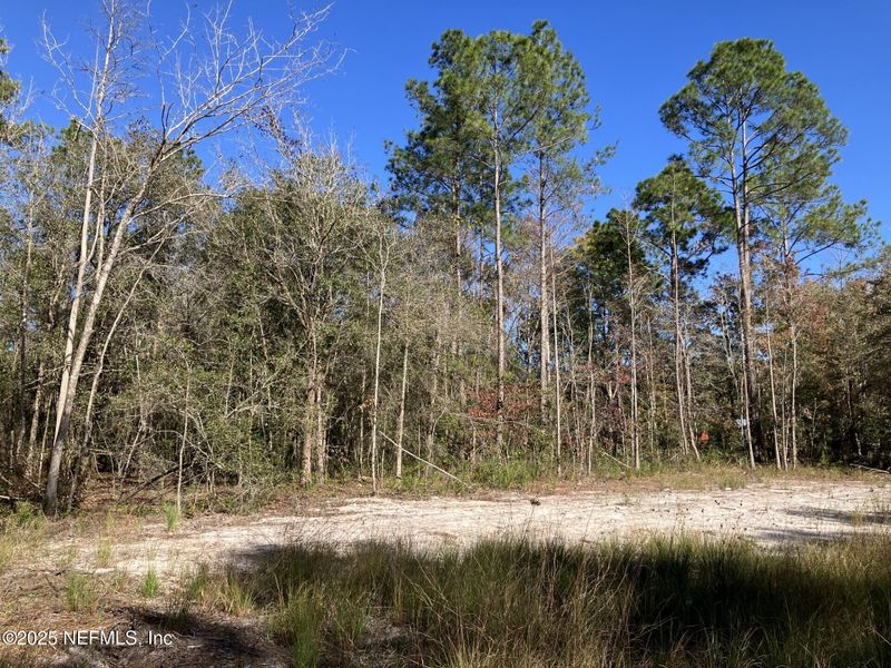 10050 Ebert Ave, Hastings, FL 32145