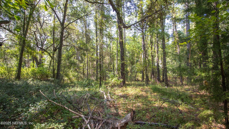 101 Ashley Lake Dr, Melrose, FL 32666
