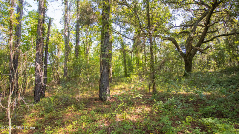 101 Ashley Lake Dr, Melrose, FL 32666