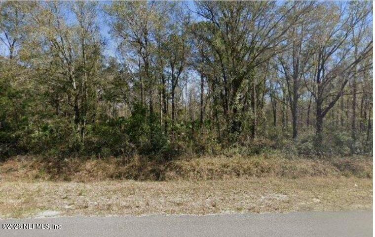 10130 W Deep Creek Blvd, Hastings, FL 32145
