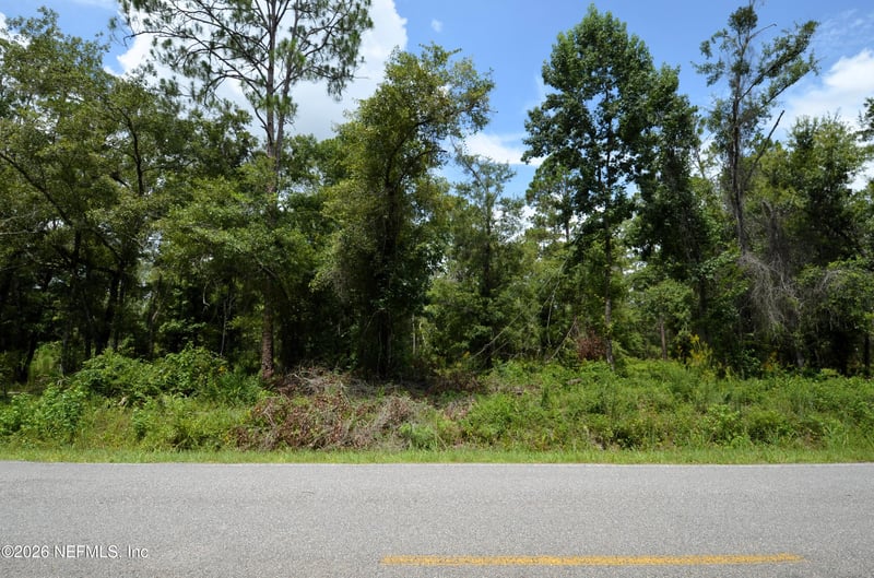 10155 Allison Ave, Hastings, FL 32145