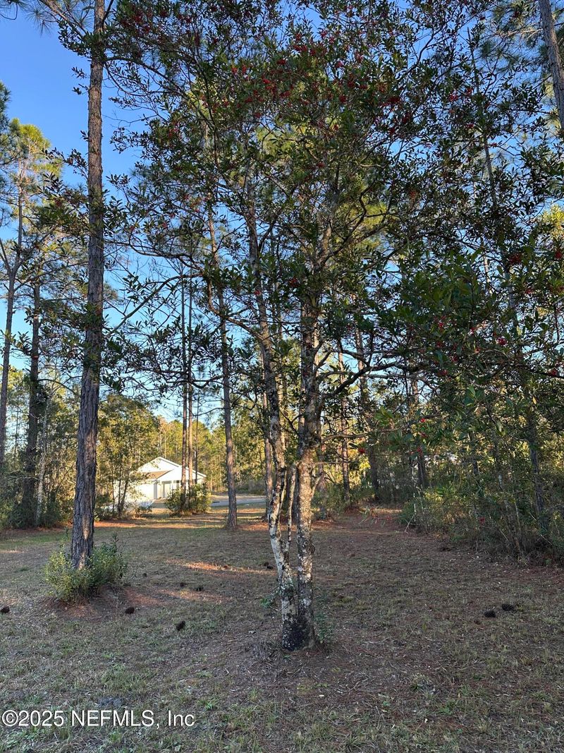 10205 Baylor Ave, Hastings, FL 32145