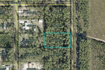 10225 Amos Ave, Hastings, FL 32145