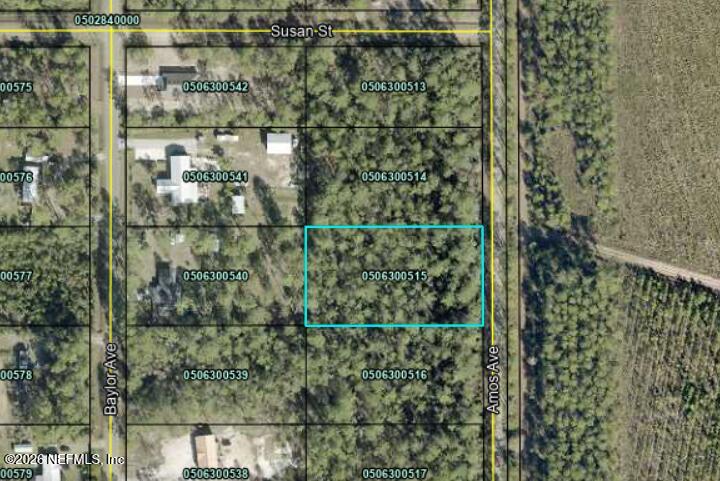 10225 Amos Ave, Hastings, FL 32145