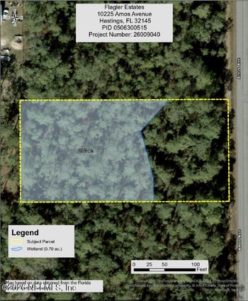 10225 Amos Ave, Hastings, FL 32145