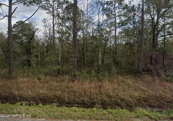10230 Nikolich Ave, Hastings, FL 32145