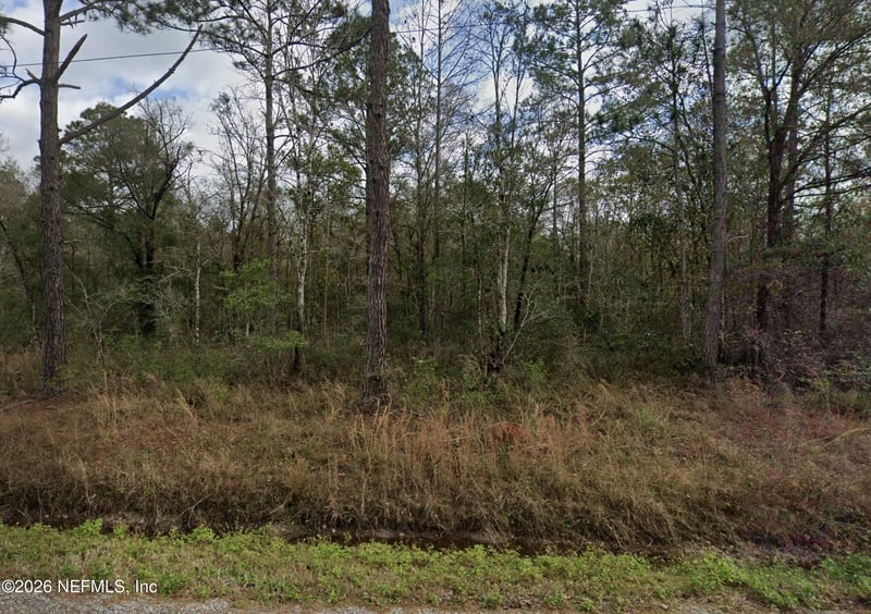 10230 Nikolich Ave, Hastings, FL 32145