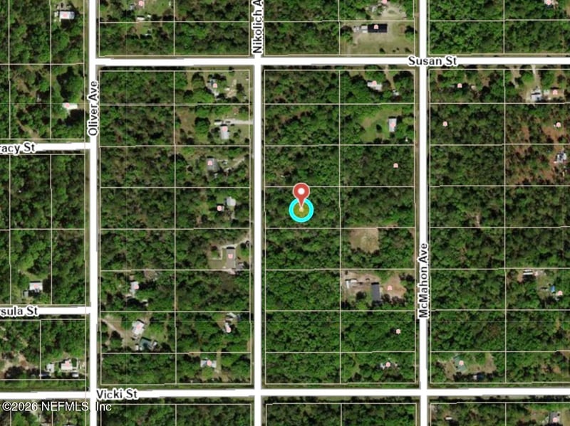 10230 Nikolich Ave, Hastings, FL 32145