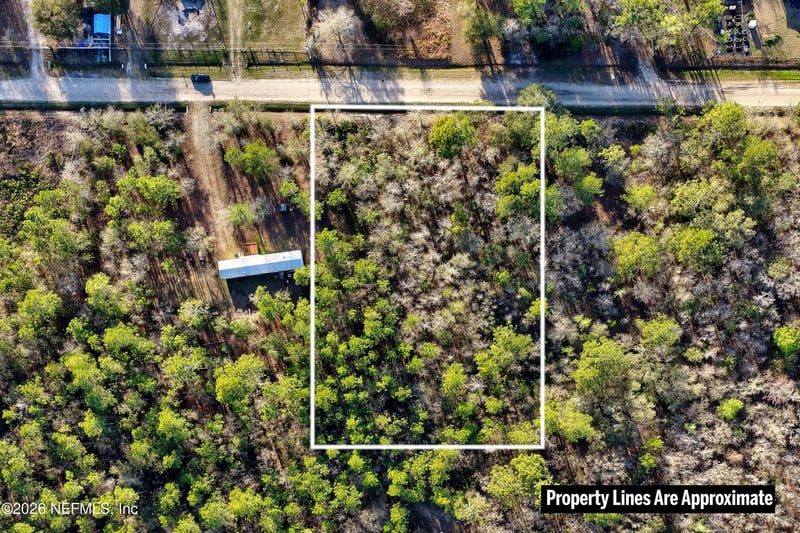 10250 Zigler Ave, Hastings, FL 32145
