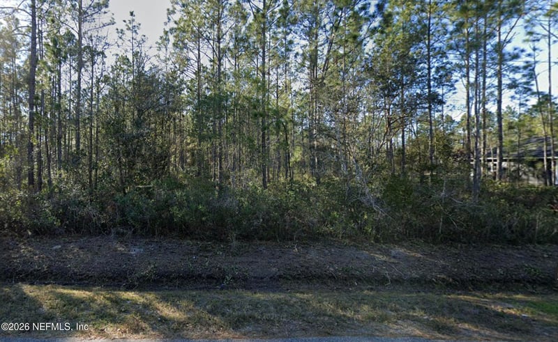 10255 Erickson Ave, Hastings, FL 32145