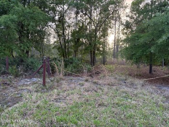10265 Carpenter Ave, Hastings, FL 32145