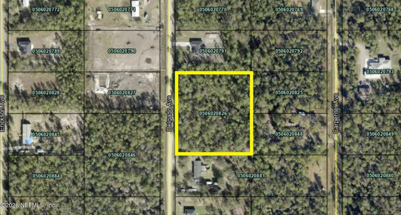 10270 Delgado Ave, Hastings, FL 32145
