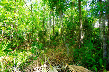 1028 Collier Blvd, St Augustine, FL 32084