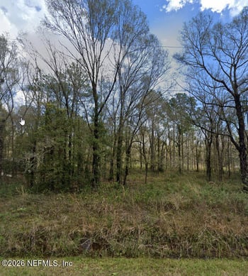 10300 Stycket Ave, Hastings, FL 32145