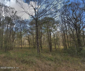 10300 Stycket Ave, Hastings, FL 32145