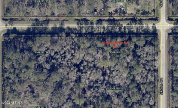 10305 Nikolich Ave, Hastings, FL 32145
