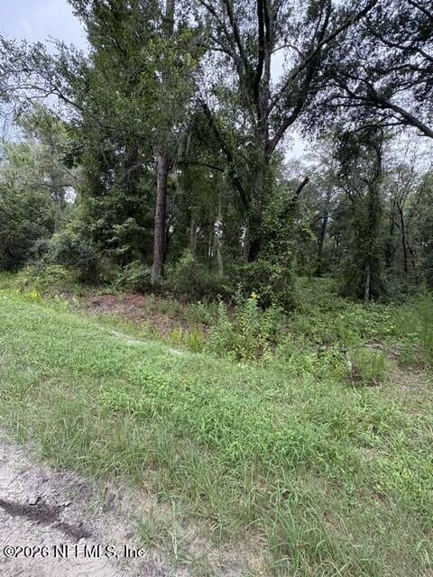 10335 Hennessey Ave, Hastings, FL 32145
