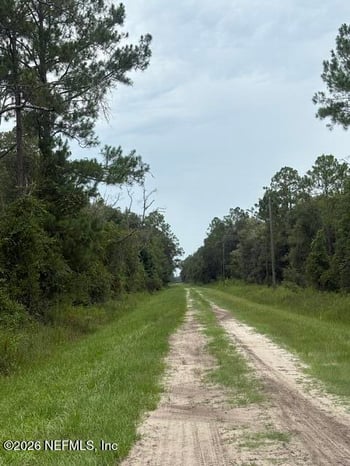 10335 Hennessey Ave, Hastings, FL 32145
