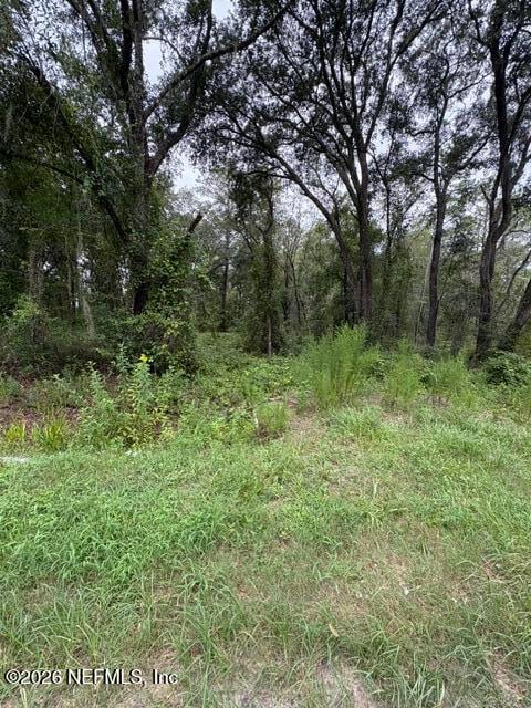 10335 Hennessey Ave, Hastings, FL 32145