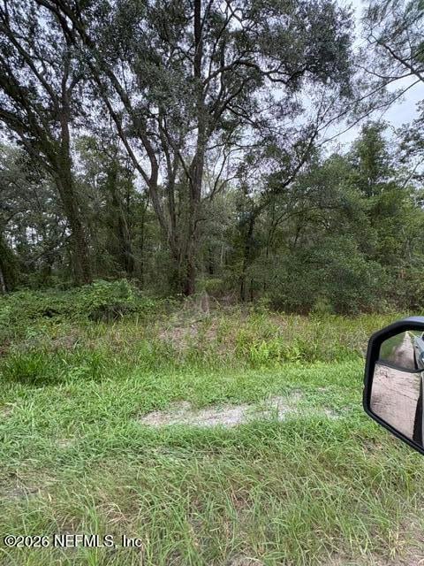 10335 Hennessey Ave, Hastings, FL 32145
