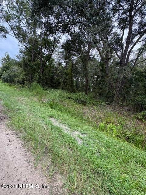 10335 Hennessey Ave, Hastings, FL 32145