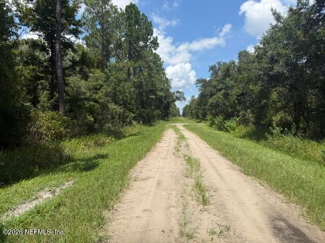 10335 Hennessey Ave, Hastings, FL 32145