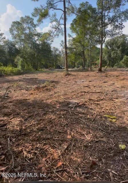 10398 Hollie Rd, Glen St Mary, FL 32040