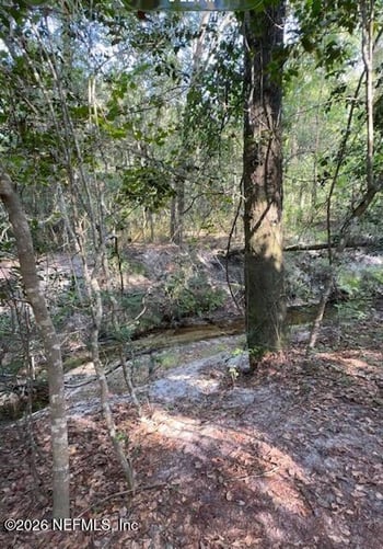10398 Hollie Rd, Glen St Mary, FL 32040