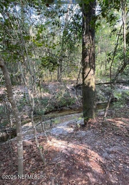 10398 Hollie Rd, Glen St Mary, FL 32040