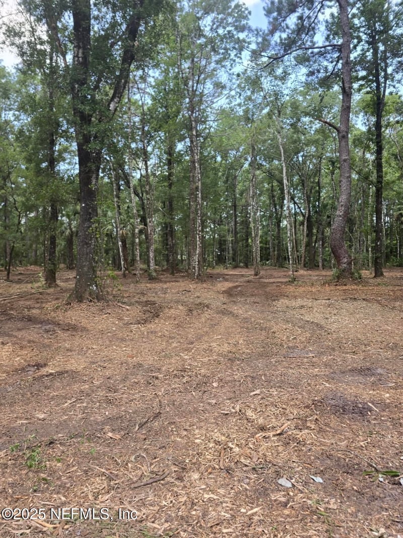 10435 E Deep Creek Blvd, Hastings, FL 32145