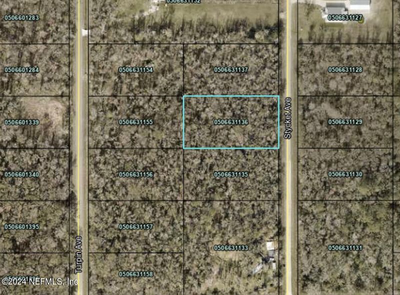 10525 Stycket Ave, Hastings, FL 32145