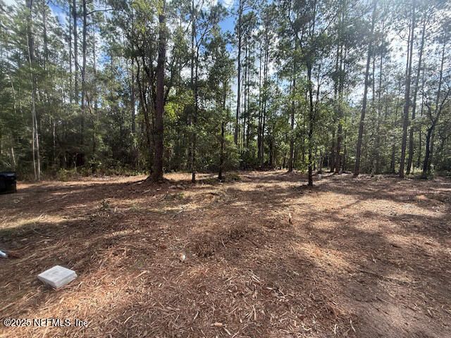 10530 Gregory Ave, Hastings, FL 32145