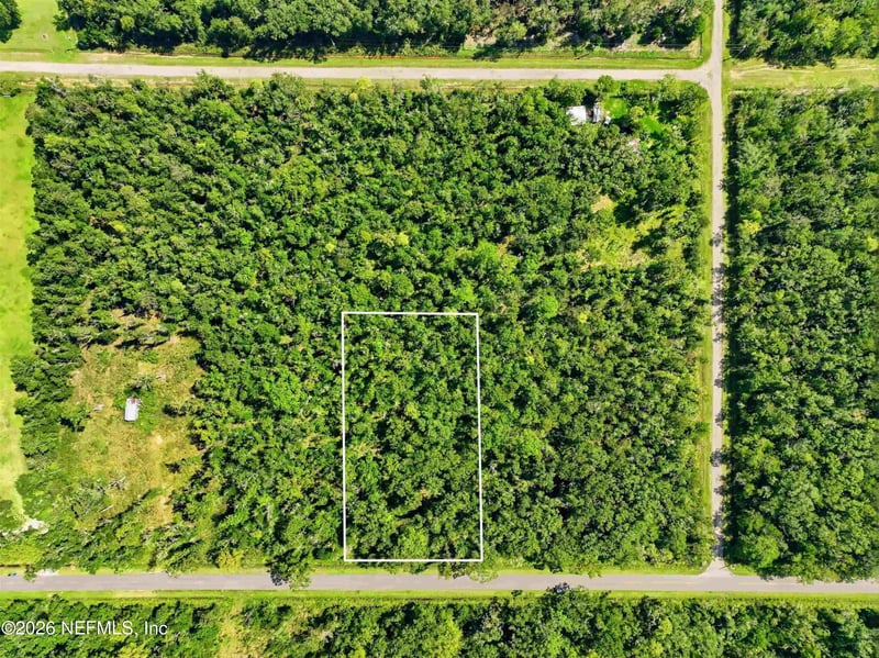 10530 Turpin Ave, Hastings, FL 32145