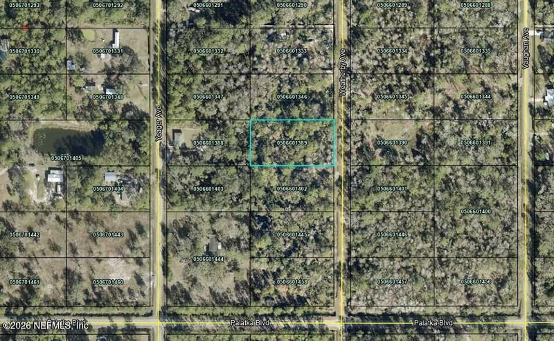 10545 Weatherby Ave, Hastings, FL 32145