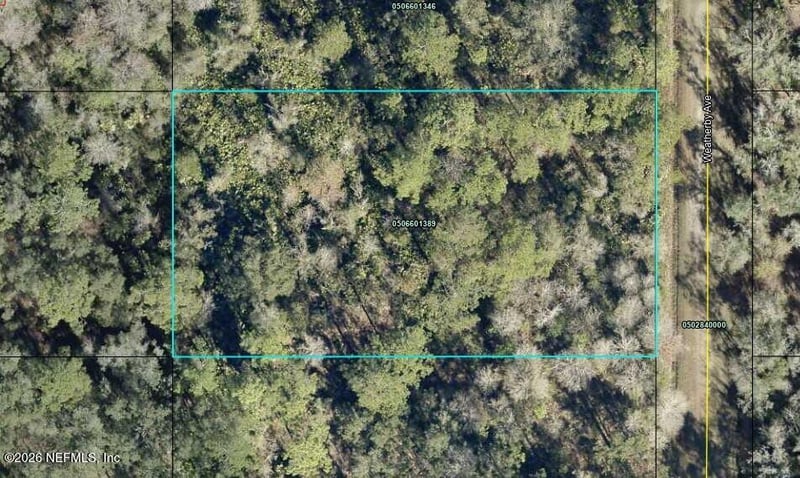 10545 Weatherby Ave, Hastings, FL 32145