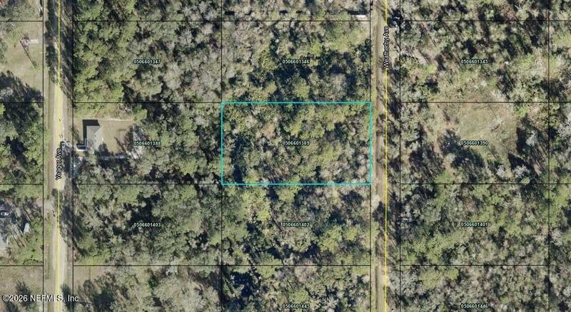 10545 Weatherby Ave, Hastings, FL 32145