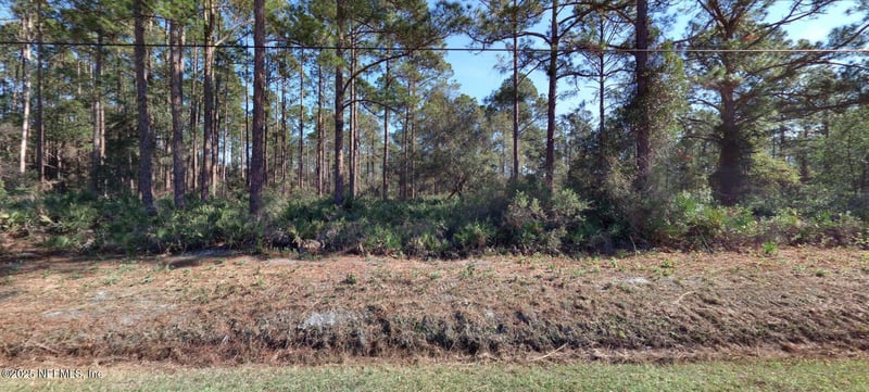 10560 Beckenger Ave, Hastings, FL 32145