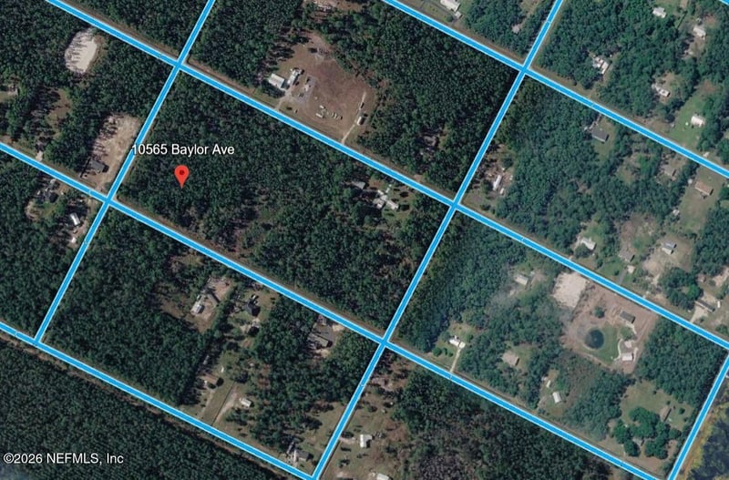 10565 Baylor Ave, Hastings, FL 32145