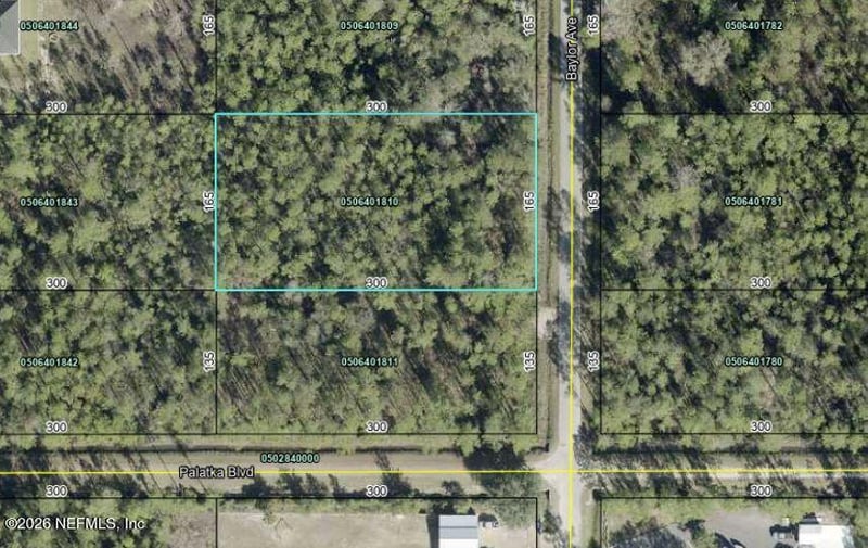 10565 Baylor Ave, Hastings, FL 32145