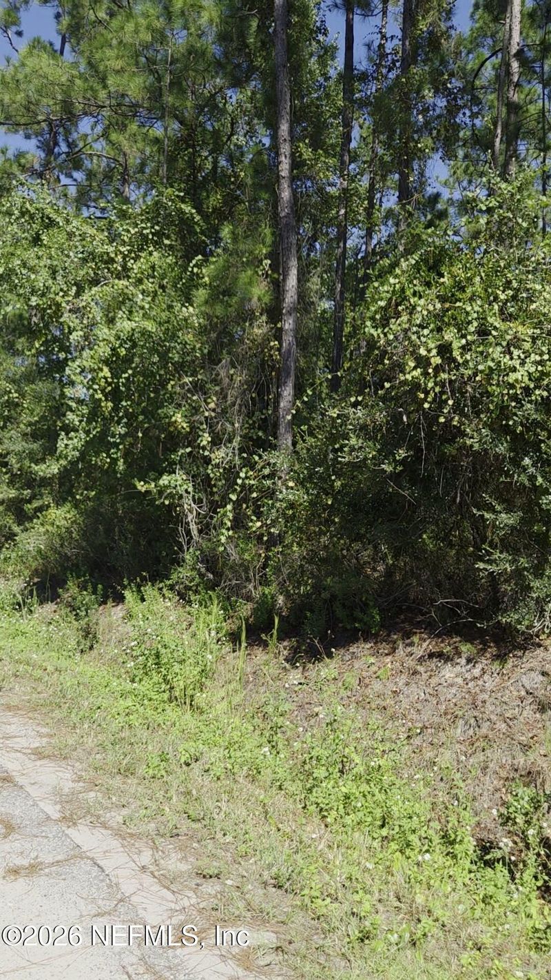 10570 Erickson Ave, Hastings, FL 32145
