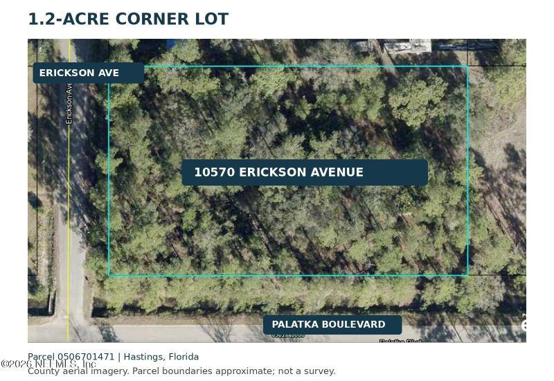 10570 Erickson Ave, Hastings, FL 32145