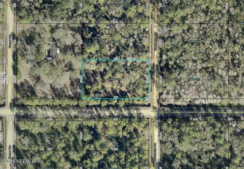 10575 Weatherby Ave, Hastings, FL 32145