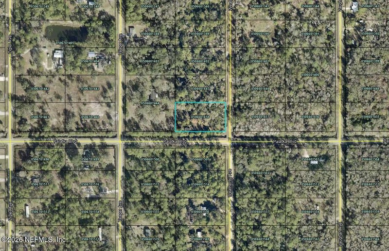 10575 Weatherby Ave, Hastings, FL 32145
