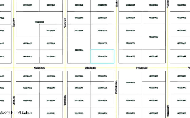 10575 Weatherby Ave, Hastings, FL 32145