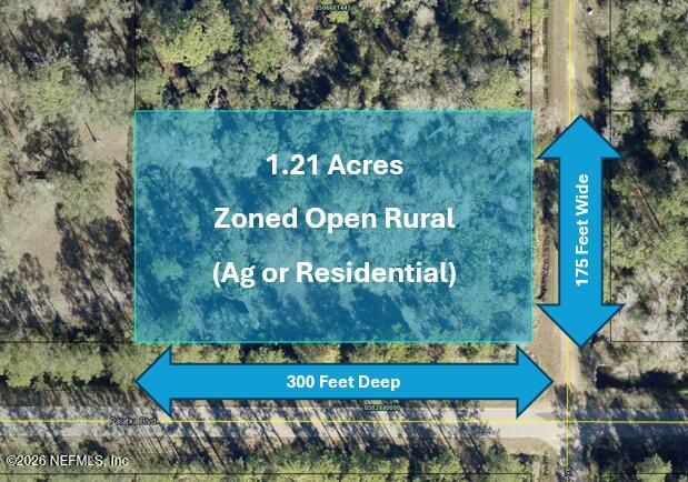 10575 Weatherby Ave, Hastings, FL 32145